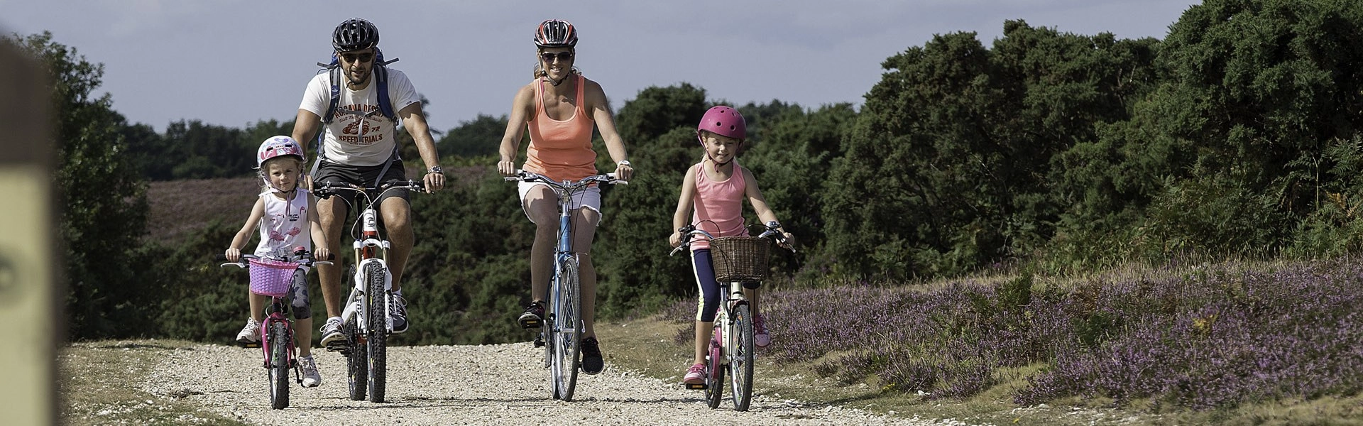 Things To Do in The New Forest