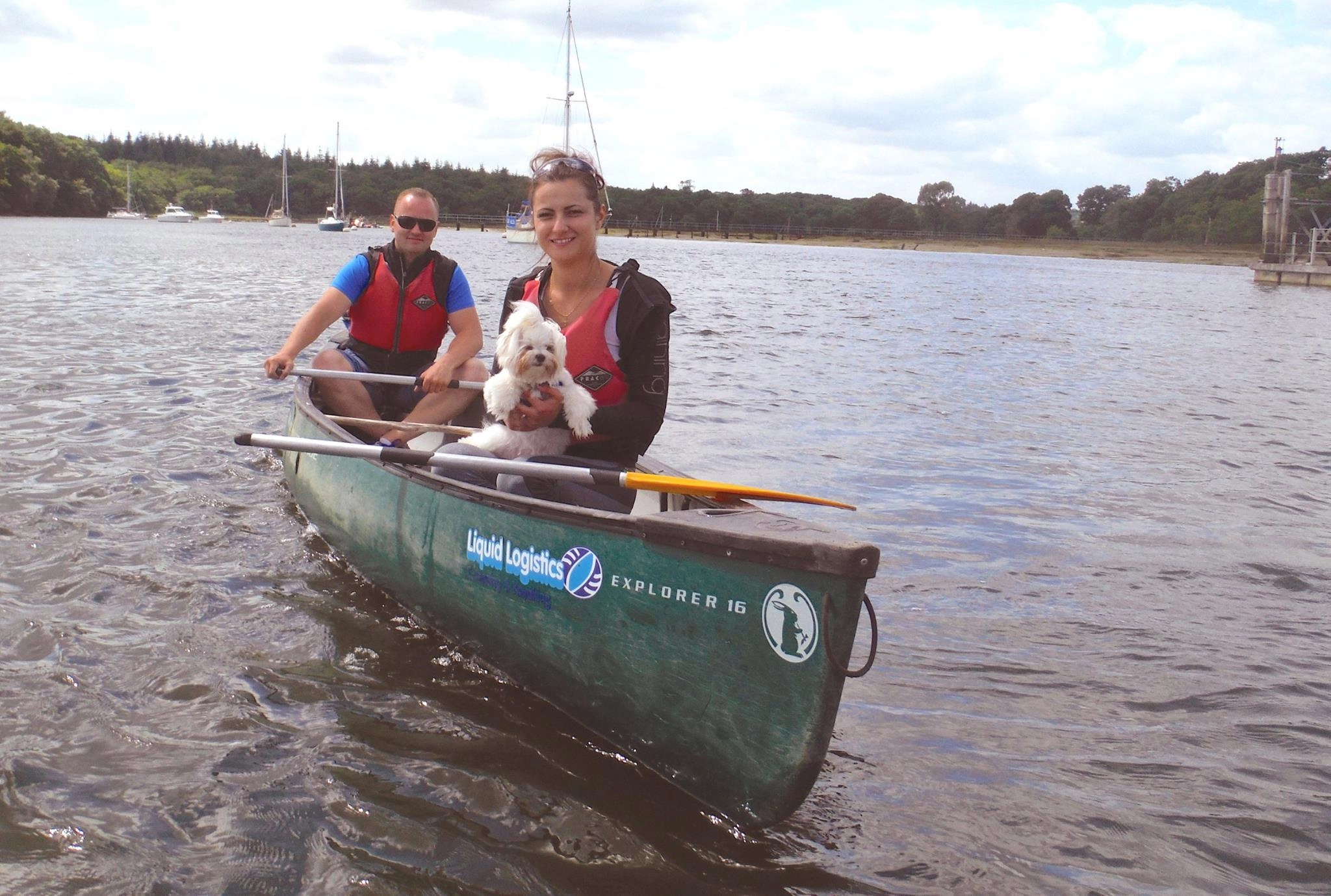 Visit the dog friendly New Forest