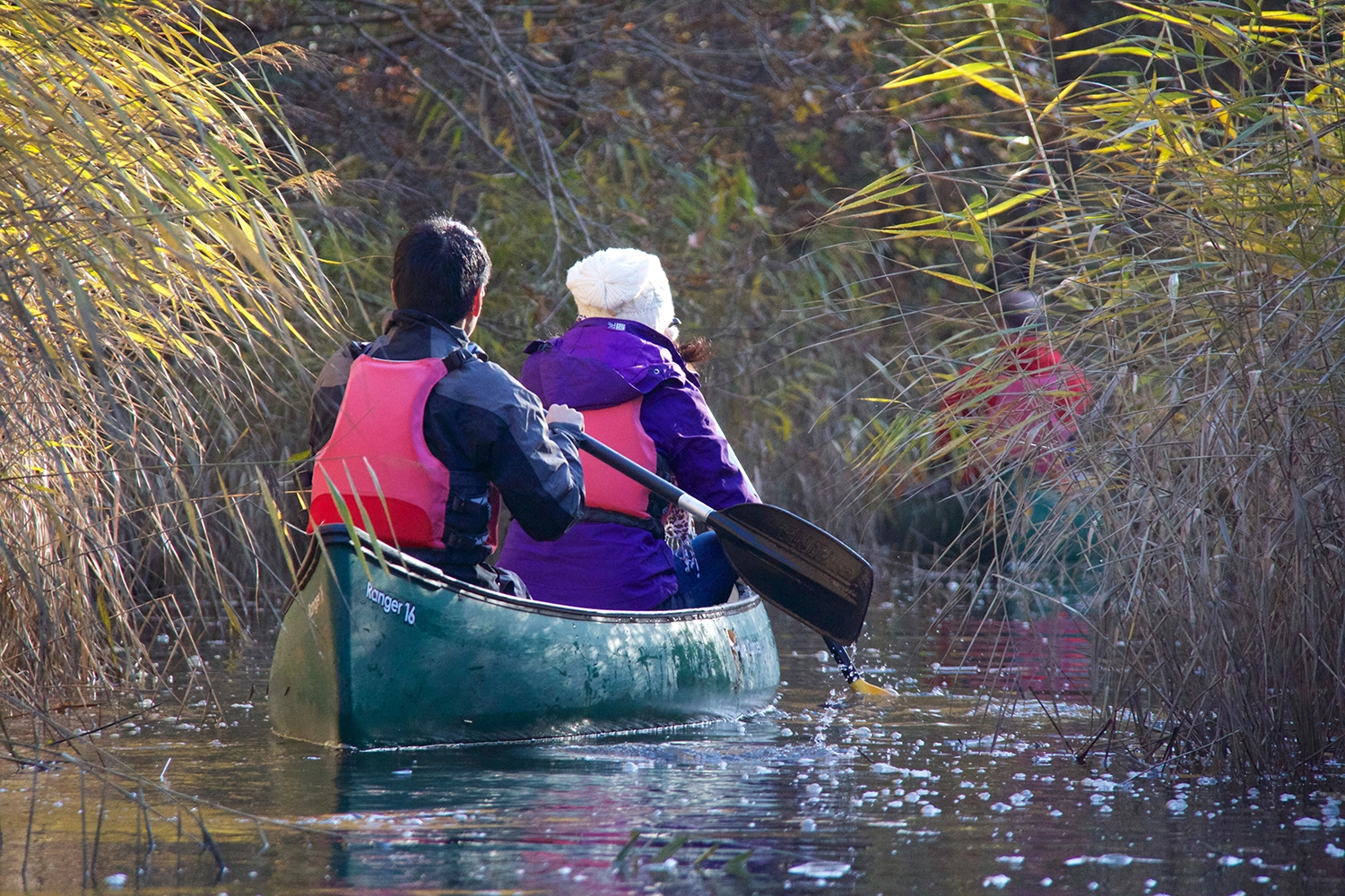 Valentine's Day Ideas for Couples with New Forest Activities