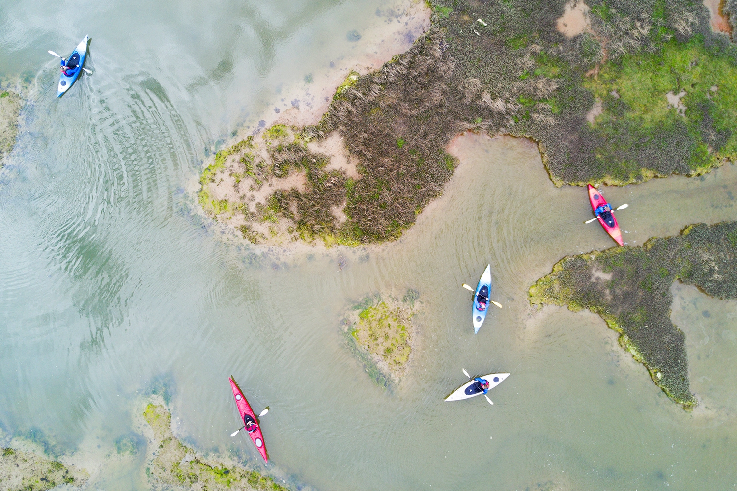 15 Types Of Beaulieu River Wildlife