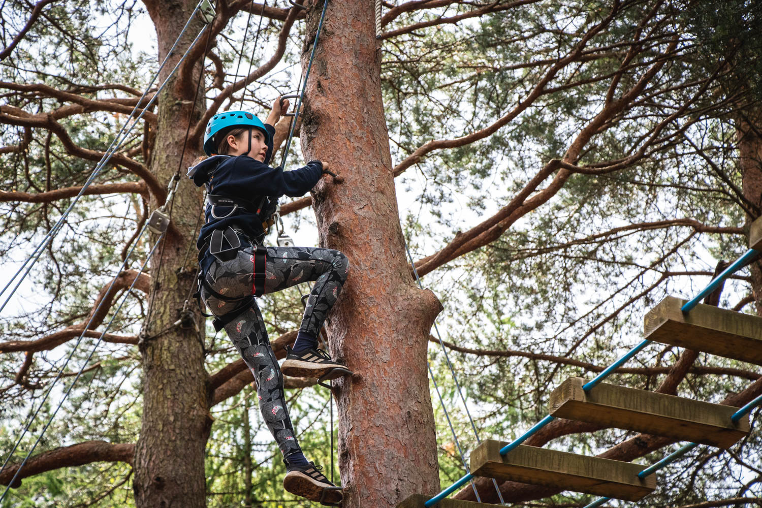 Tips for Dealing with Student Anxiety on a School Trip