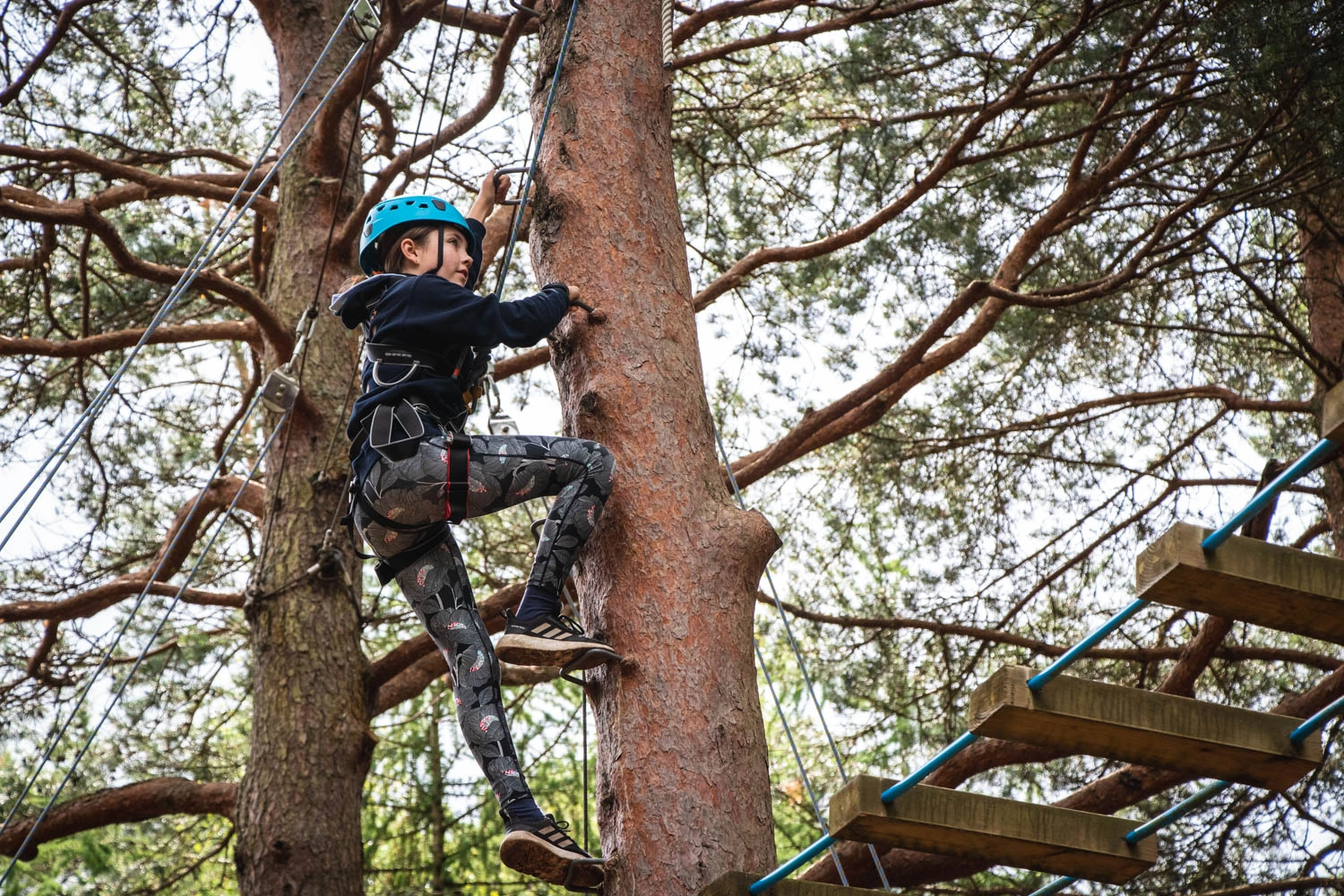 Tips for Dealing with Student Anxiety on a School Trip