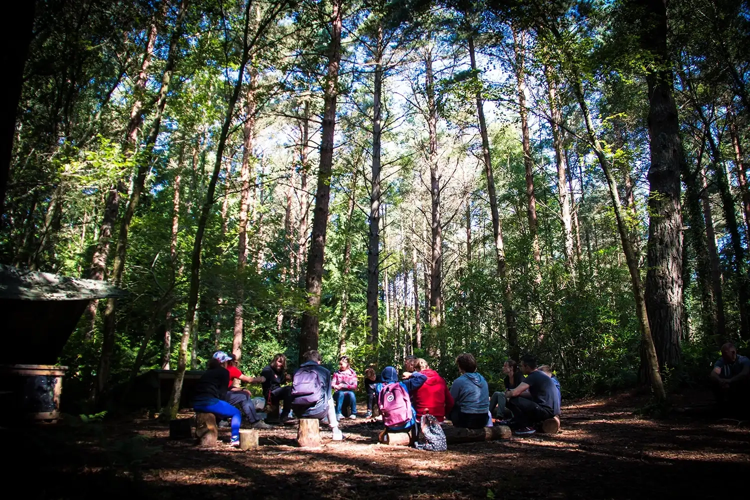 Bushcraft & Foraging