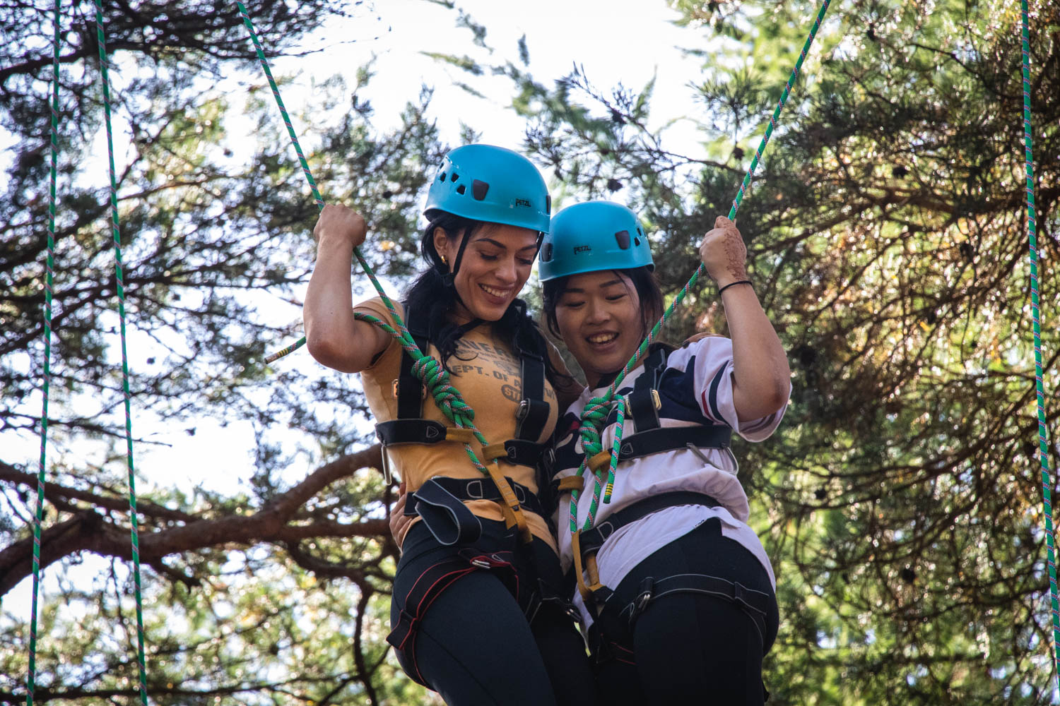 A couple of colleagues on the high ropes during a bespoke team building event