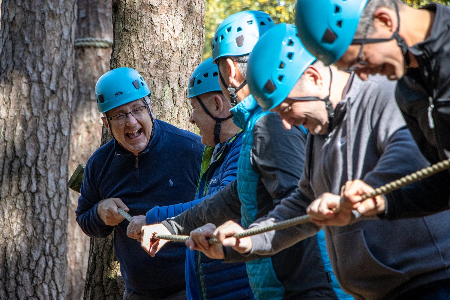 Low ropes team course in woodland