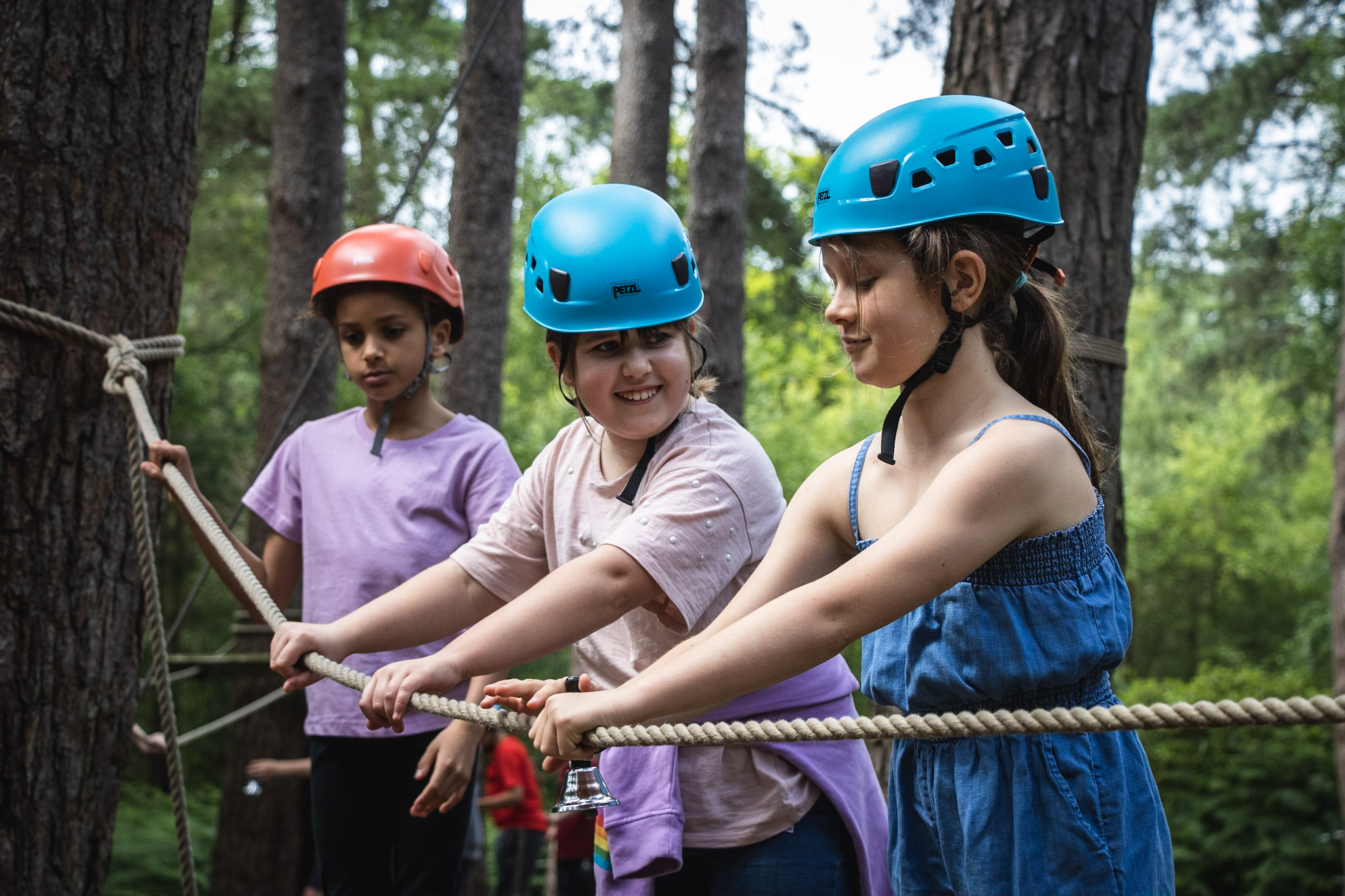 A group of students taking part in low ropes on a school trip in The New Forest