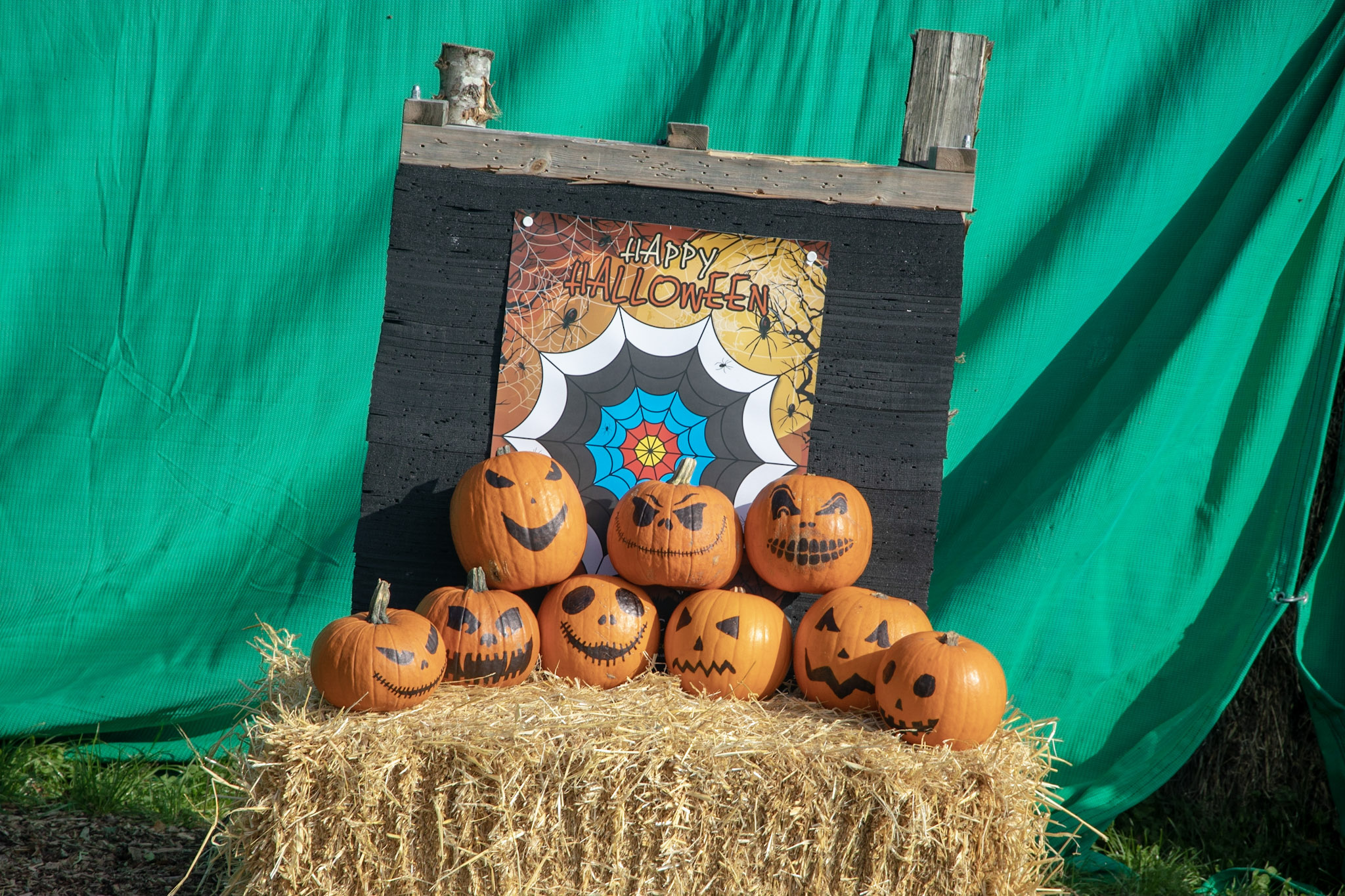 Guests enjoying seasonal activities in the New Forest.