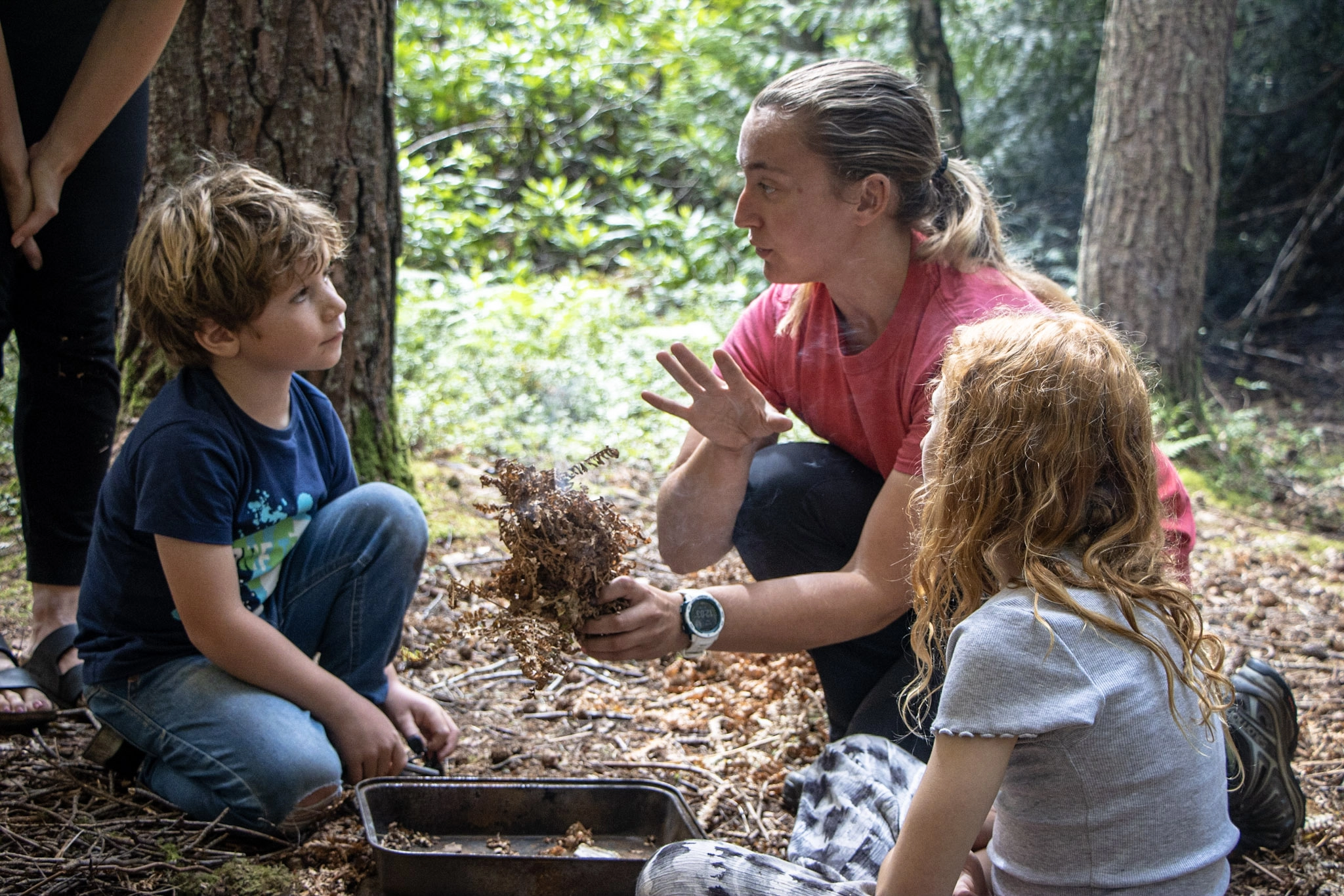 Woodland adventures in the New Forest