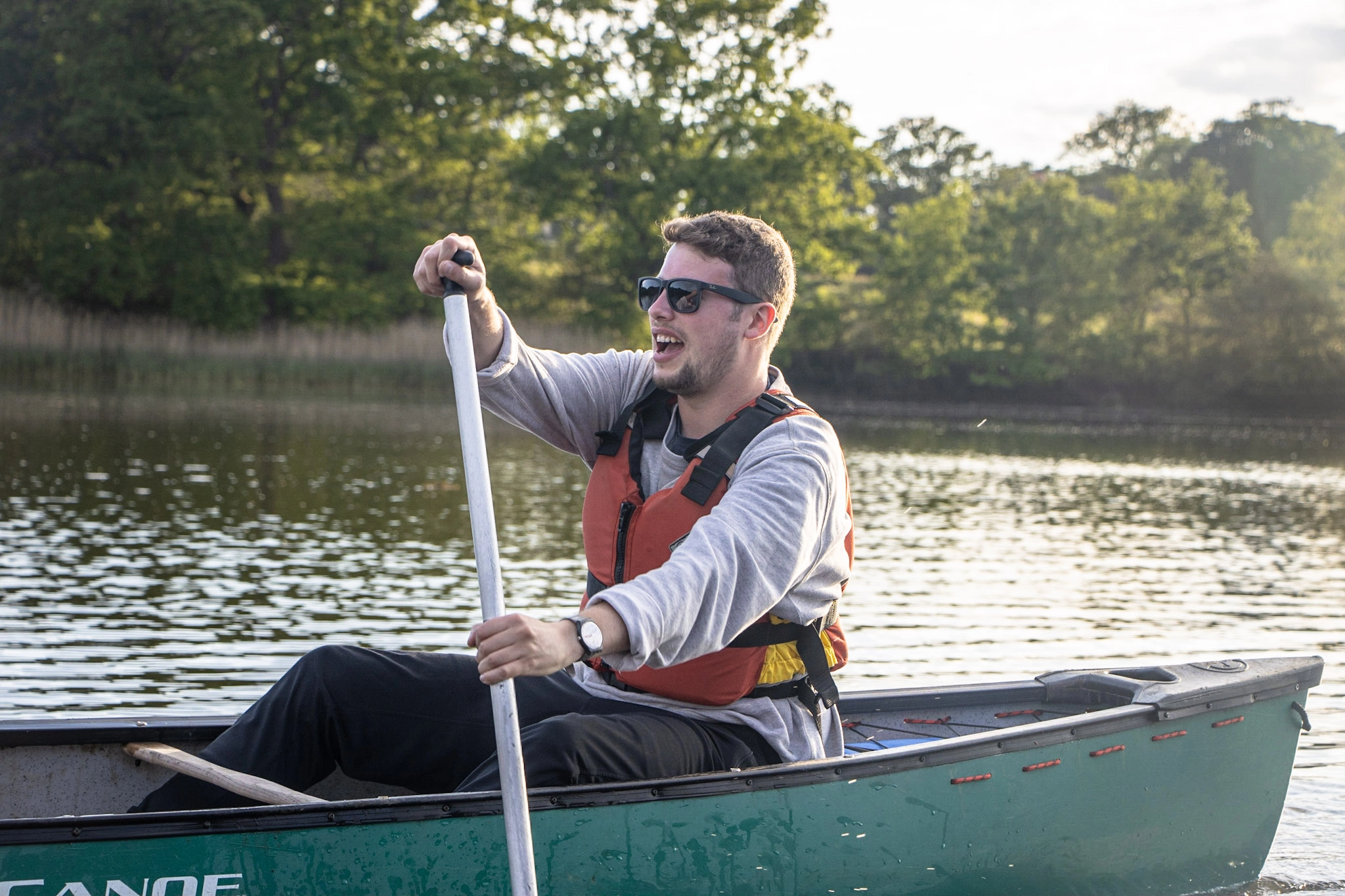 Father’s Day activities in the New Forest