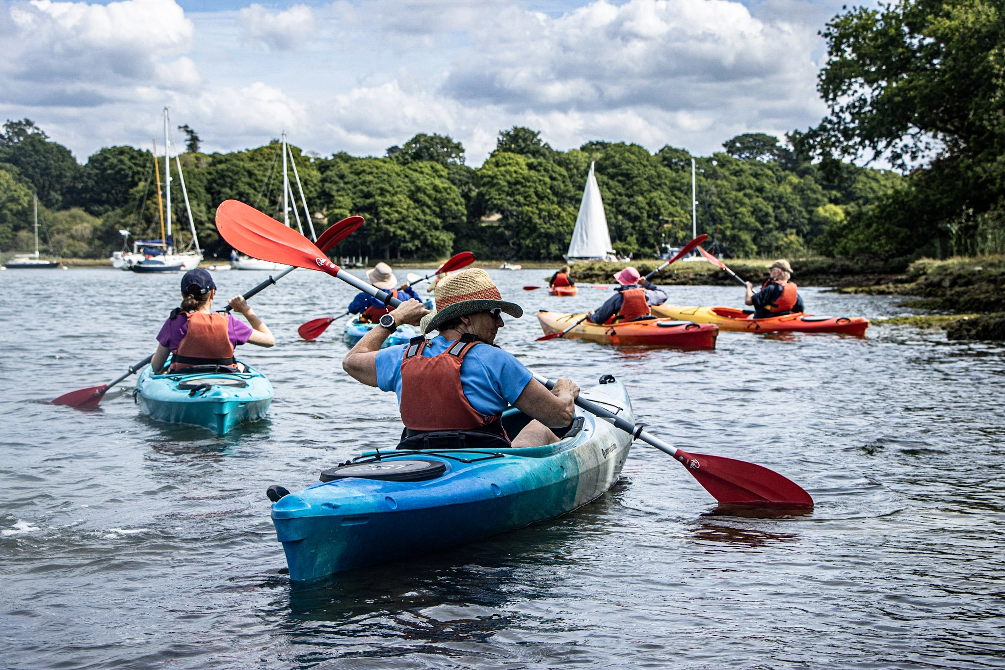 All activities in the New Forest
