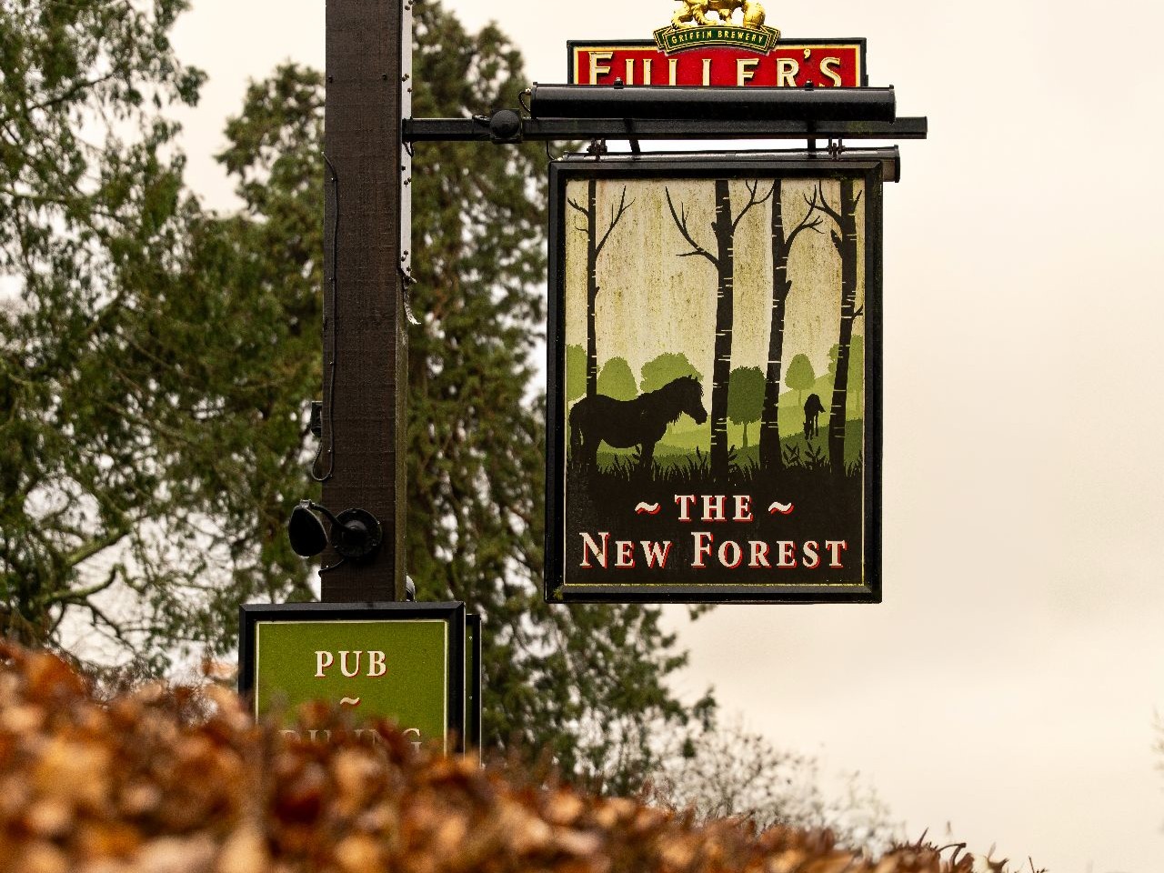 Forest loop to a pub from Beaulieu