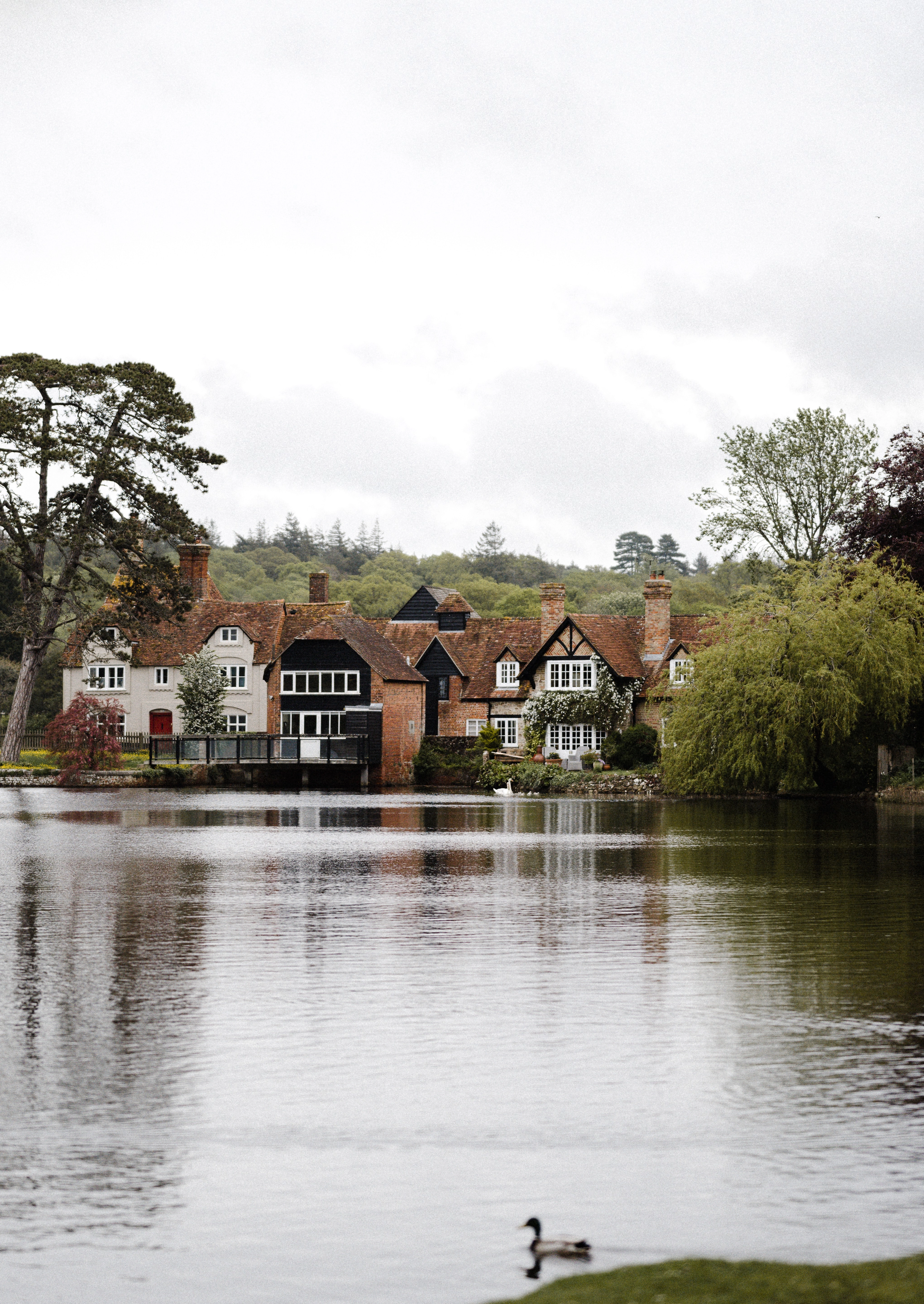 The new forest a wonderful venue for mobile events