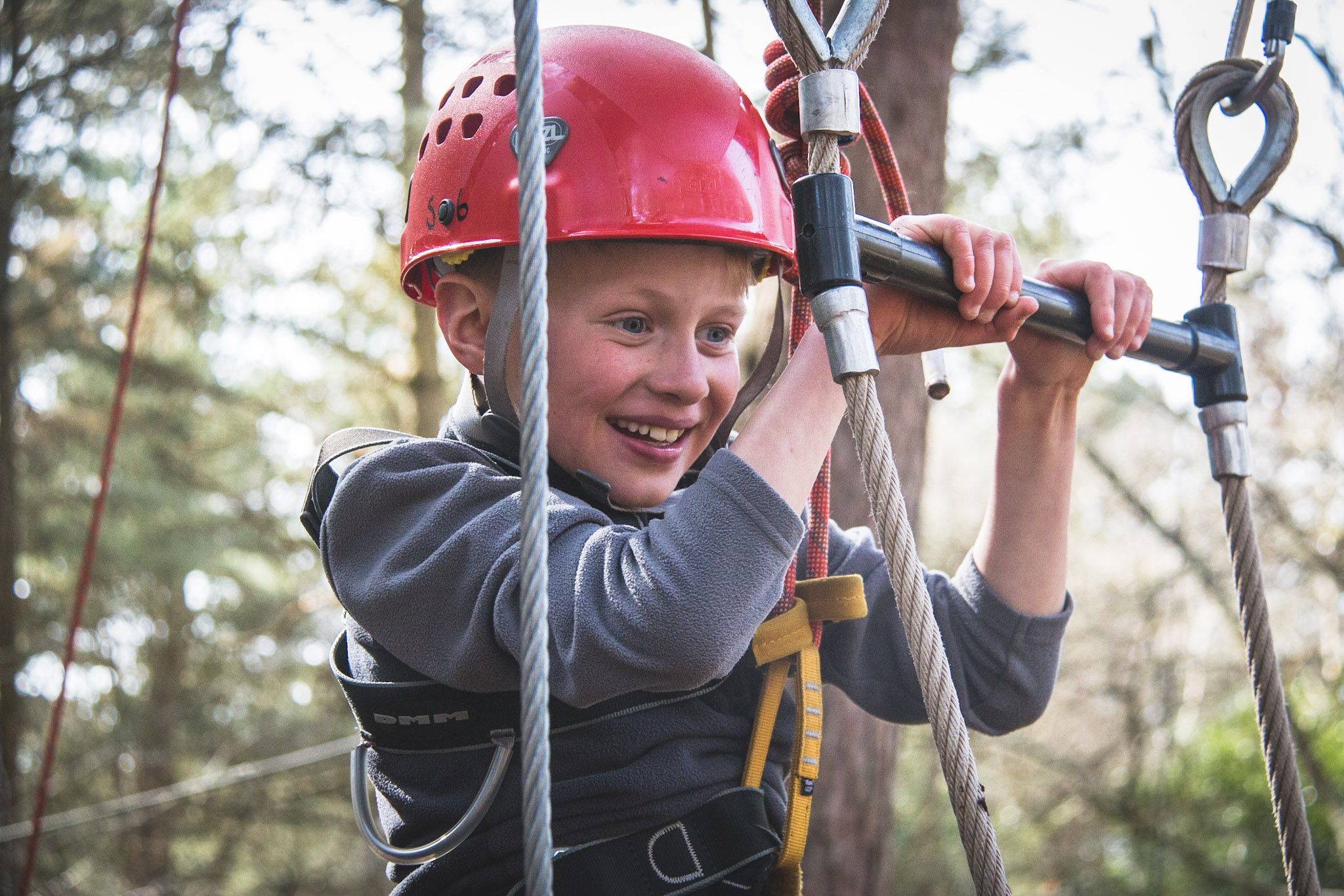 Woodland activity full day programme in Beaulieu, New Forest