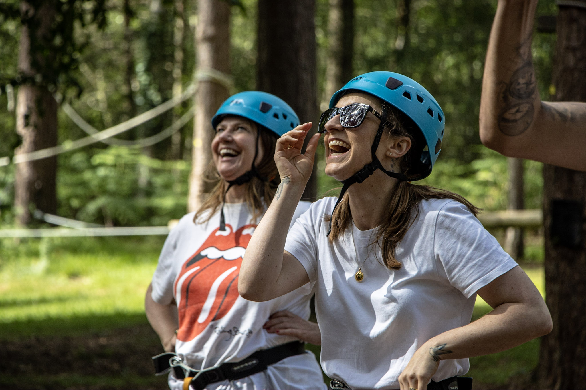 Woodland activity half day programme in the New Forest