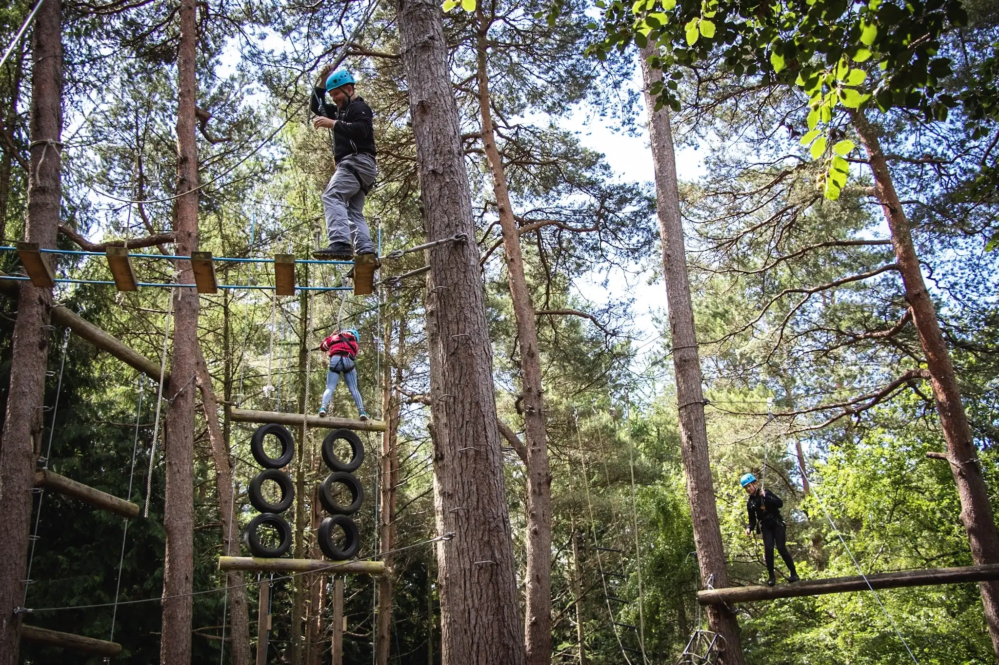 High ropes challenges in the trees at New Forest Activities