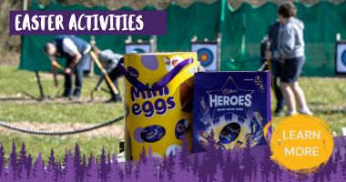 Activites this Easter