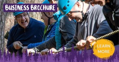 Teambuilding in The New Forest