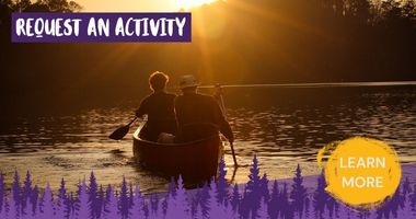Outdoor activities in The New Forest all year round