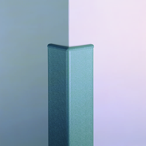 CG10