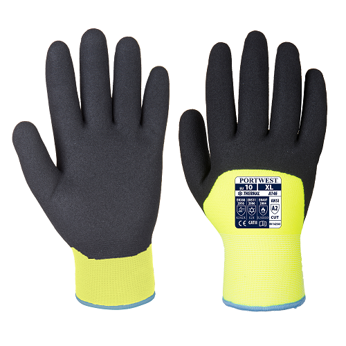 A146 Arctic Winter Gloves