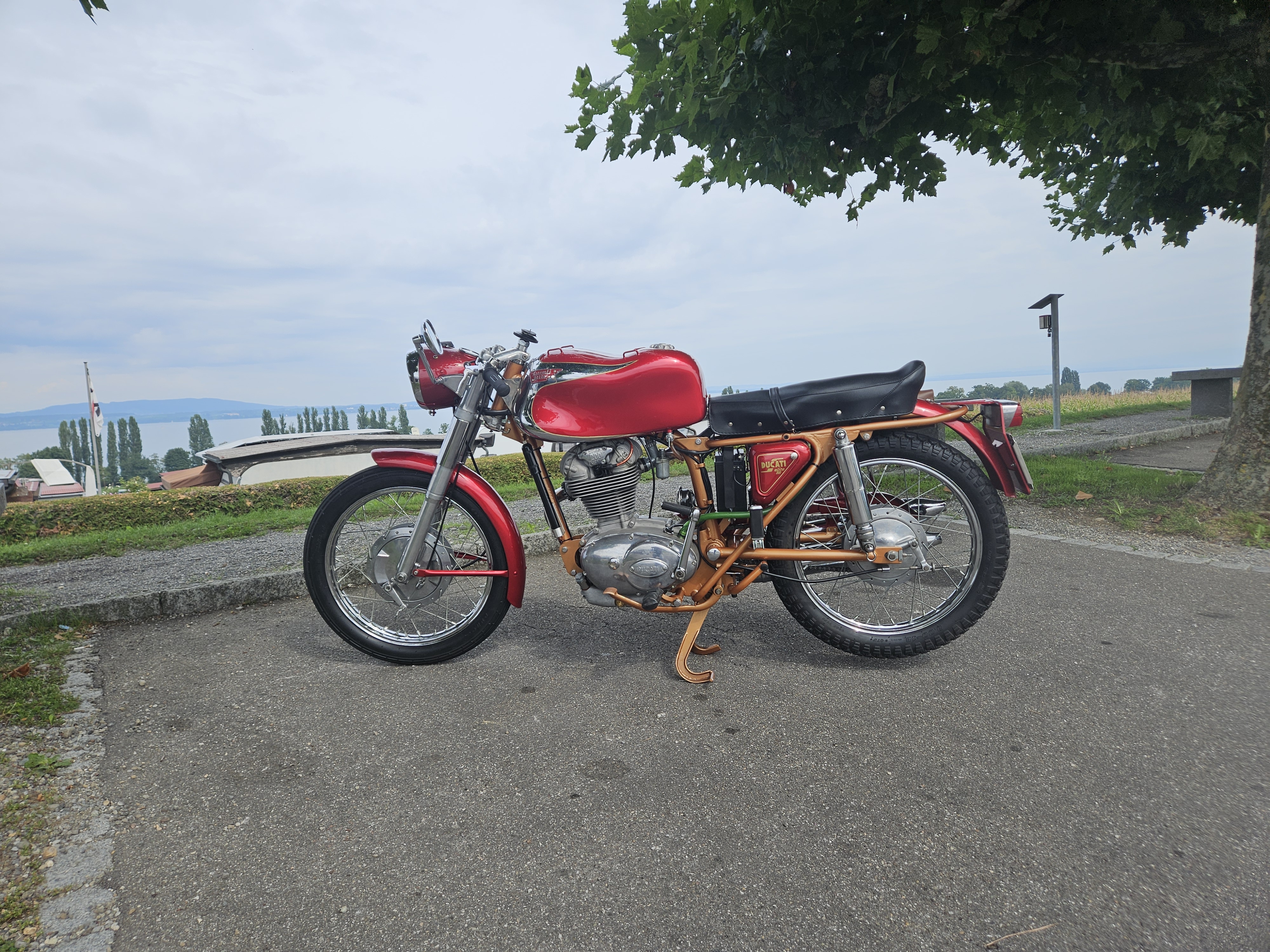 ducati elite 9