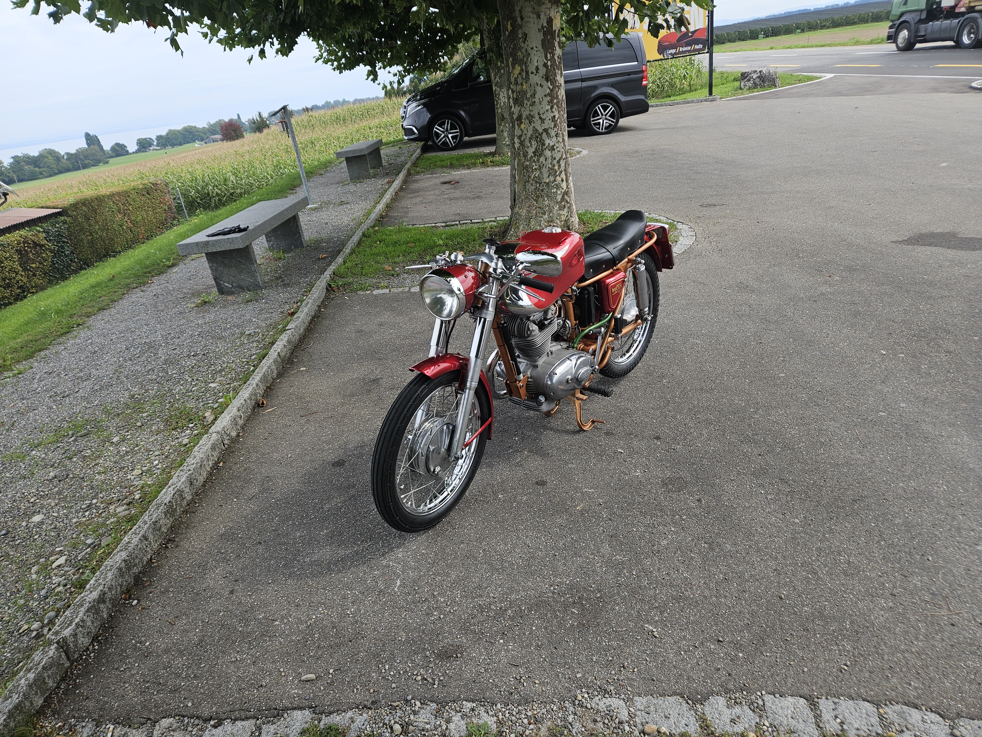 ducati elite 5
