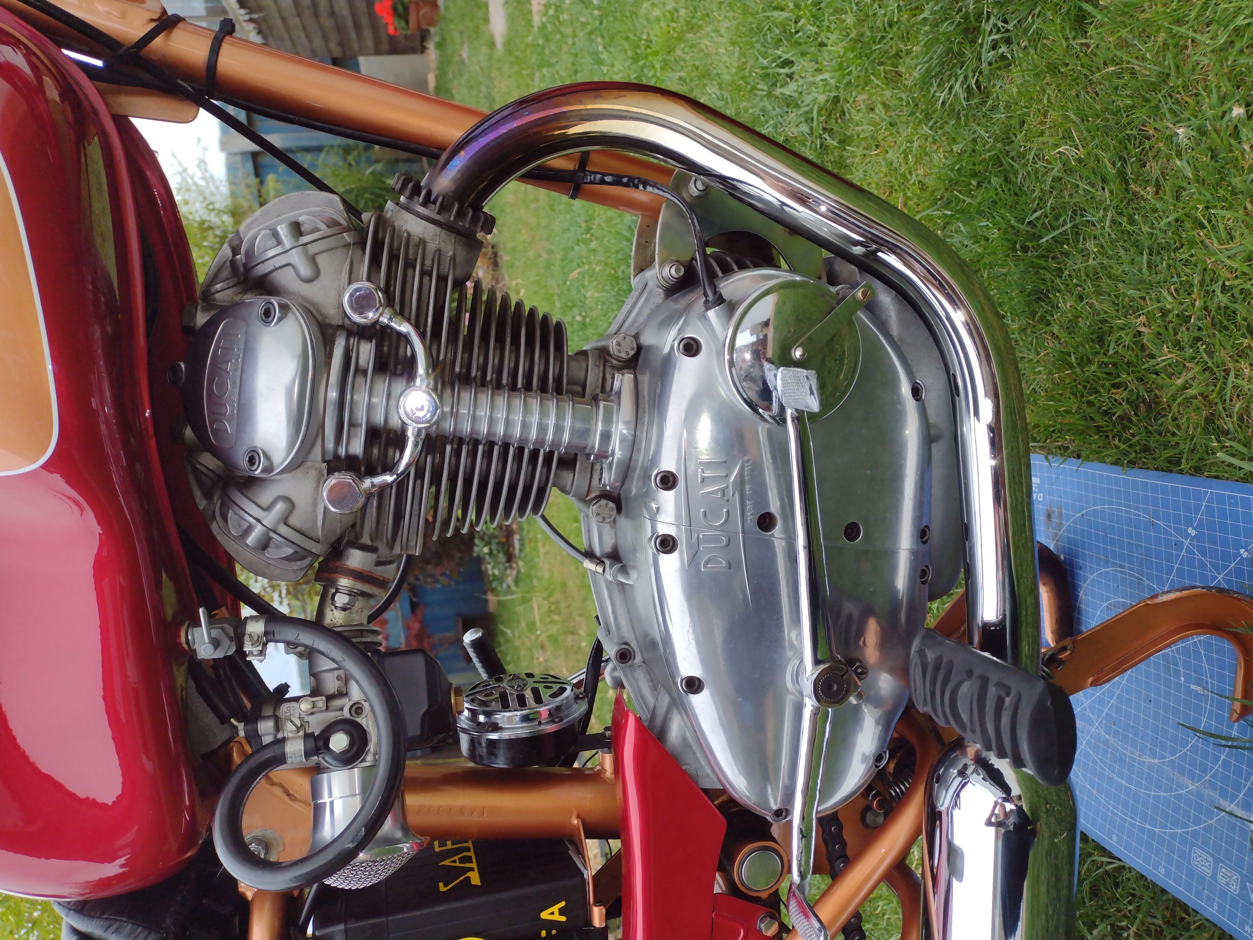 Ducati 175 TS 3