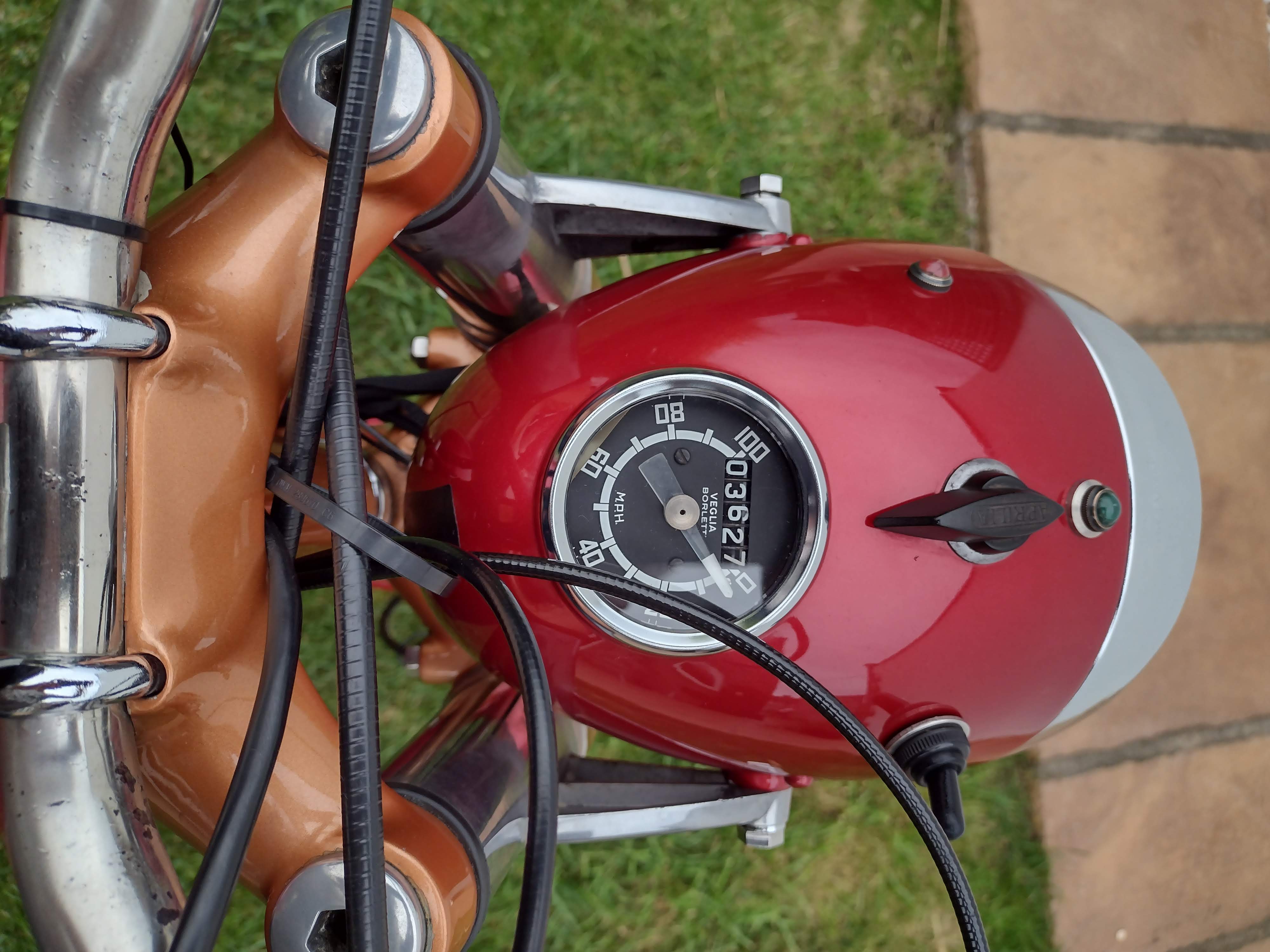 Ducati 175 TS 7