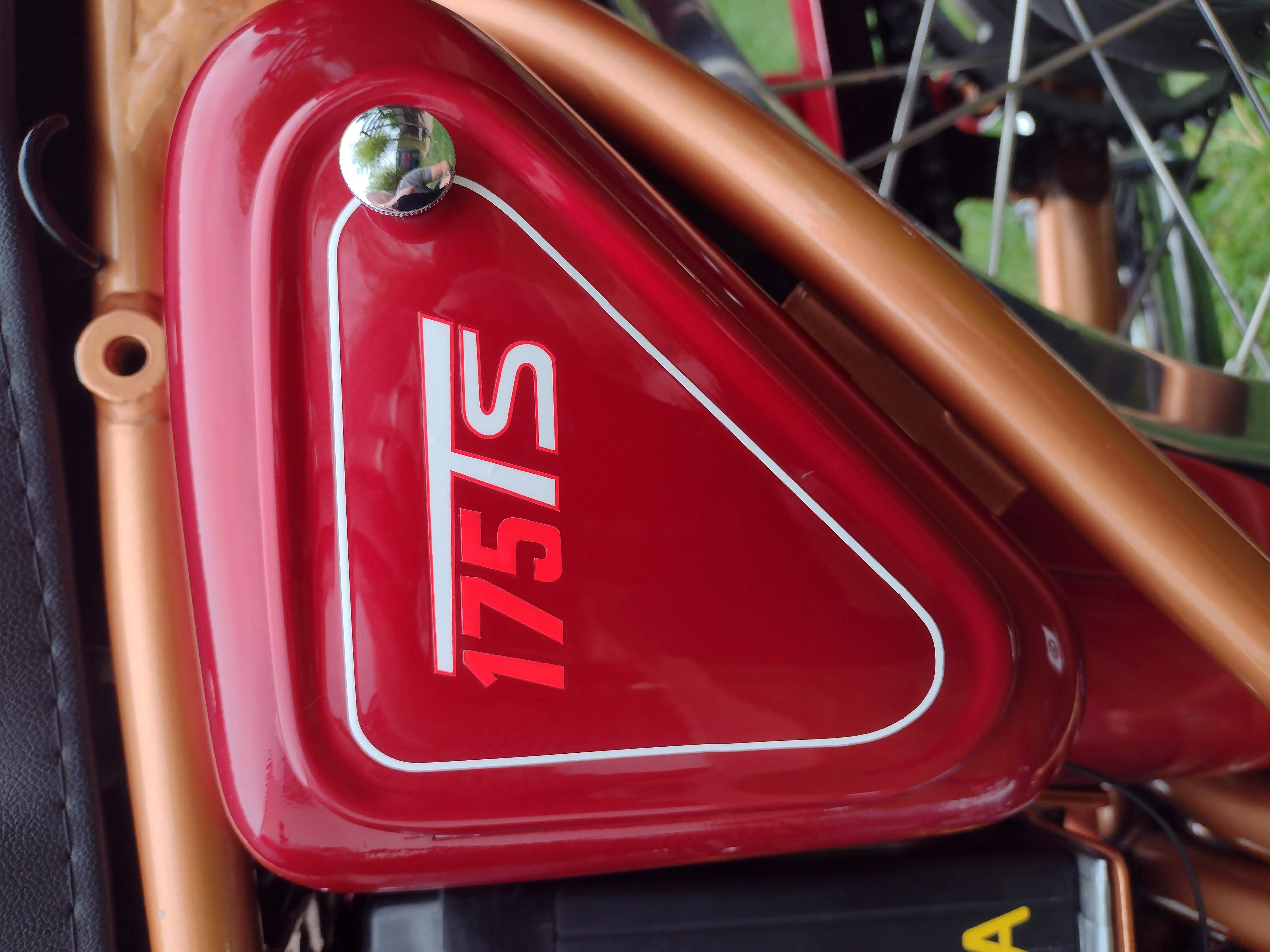 Ducati 175 TS 8
