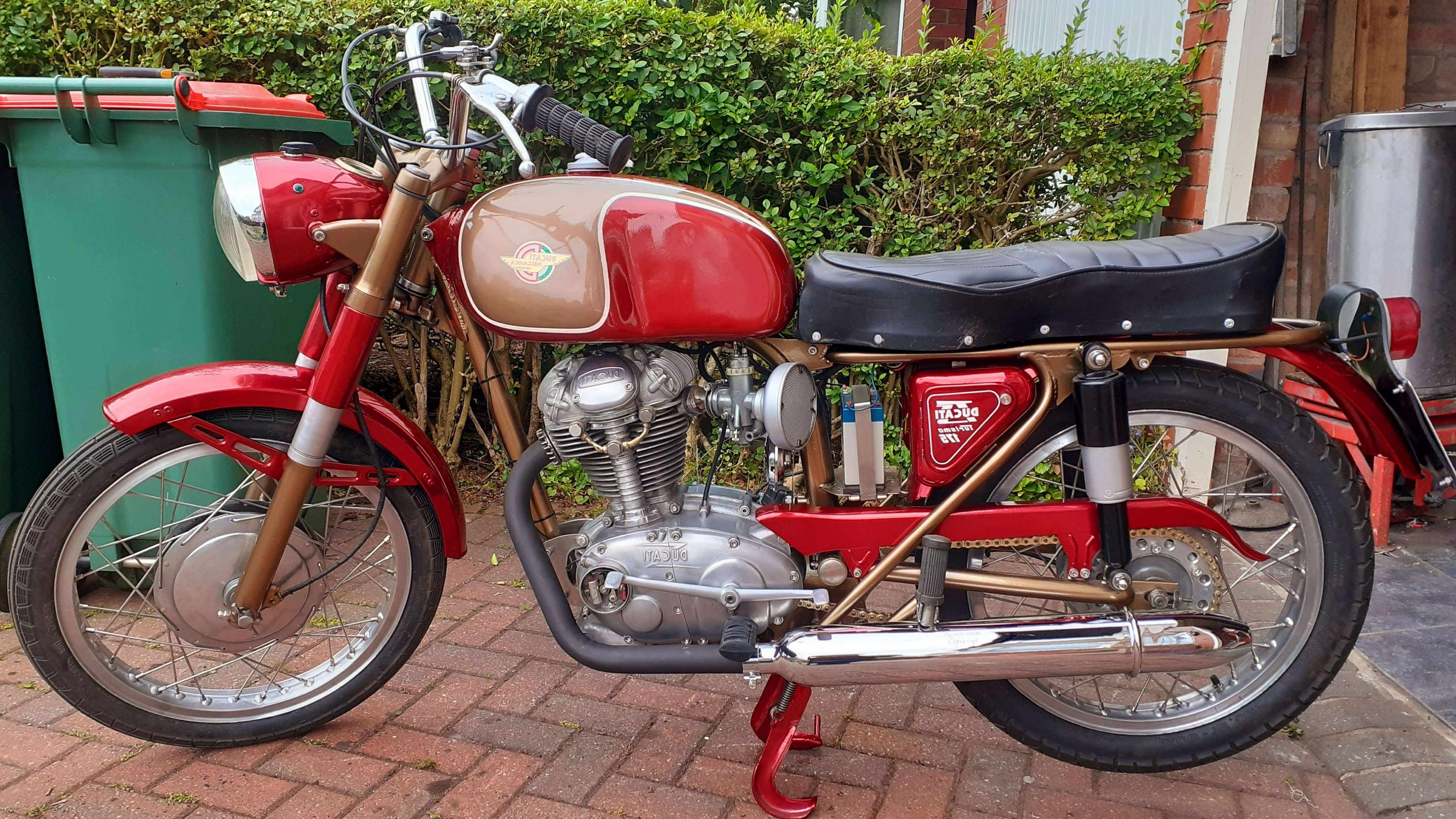 Ducati TS 175 01