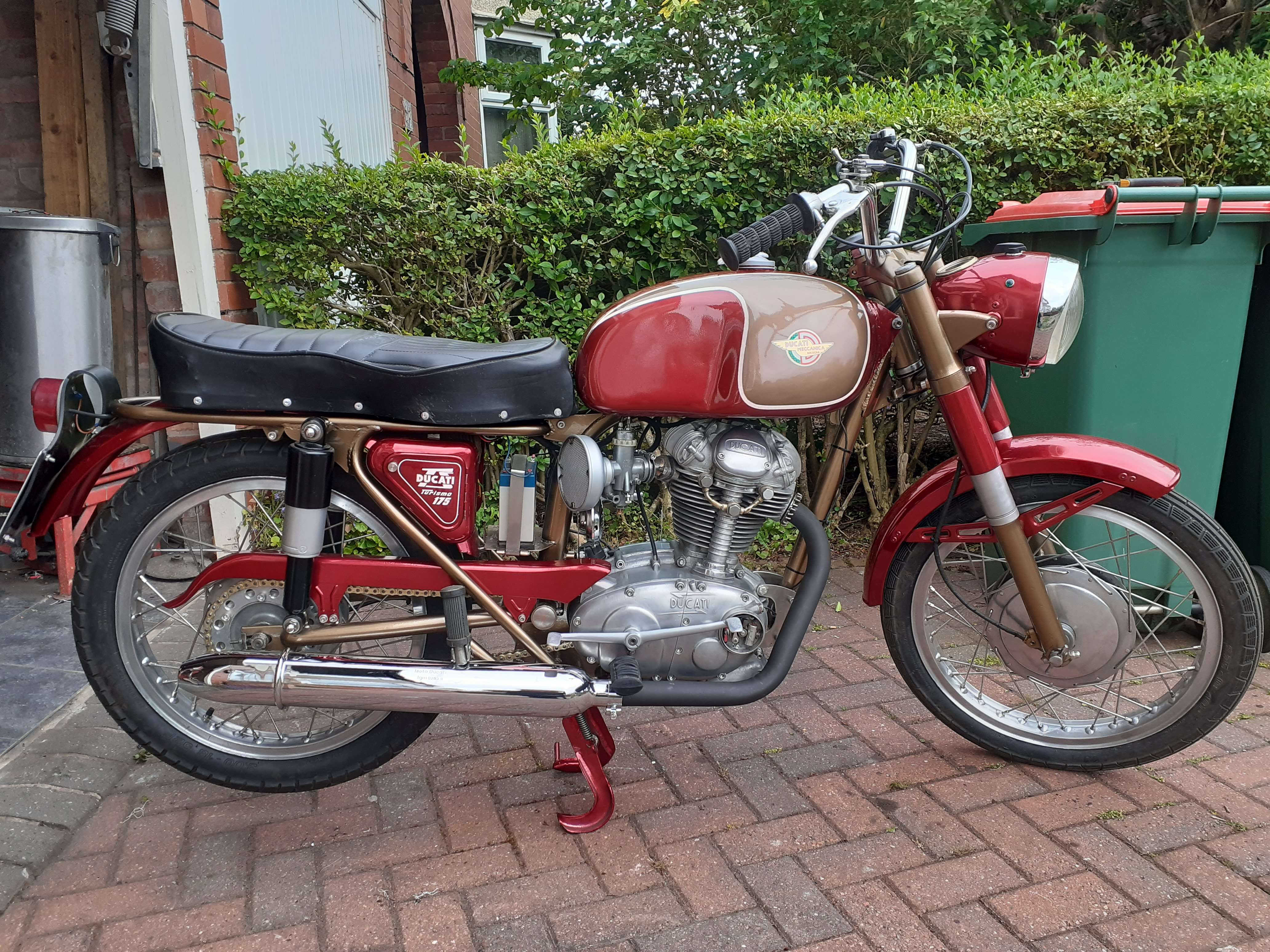 Ducati TS 175 2
