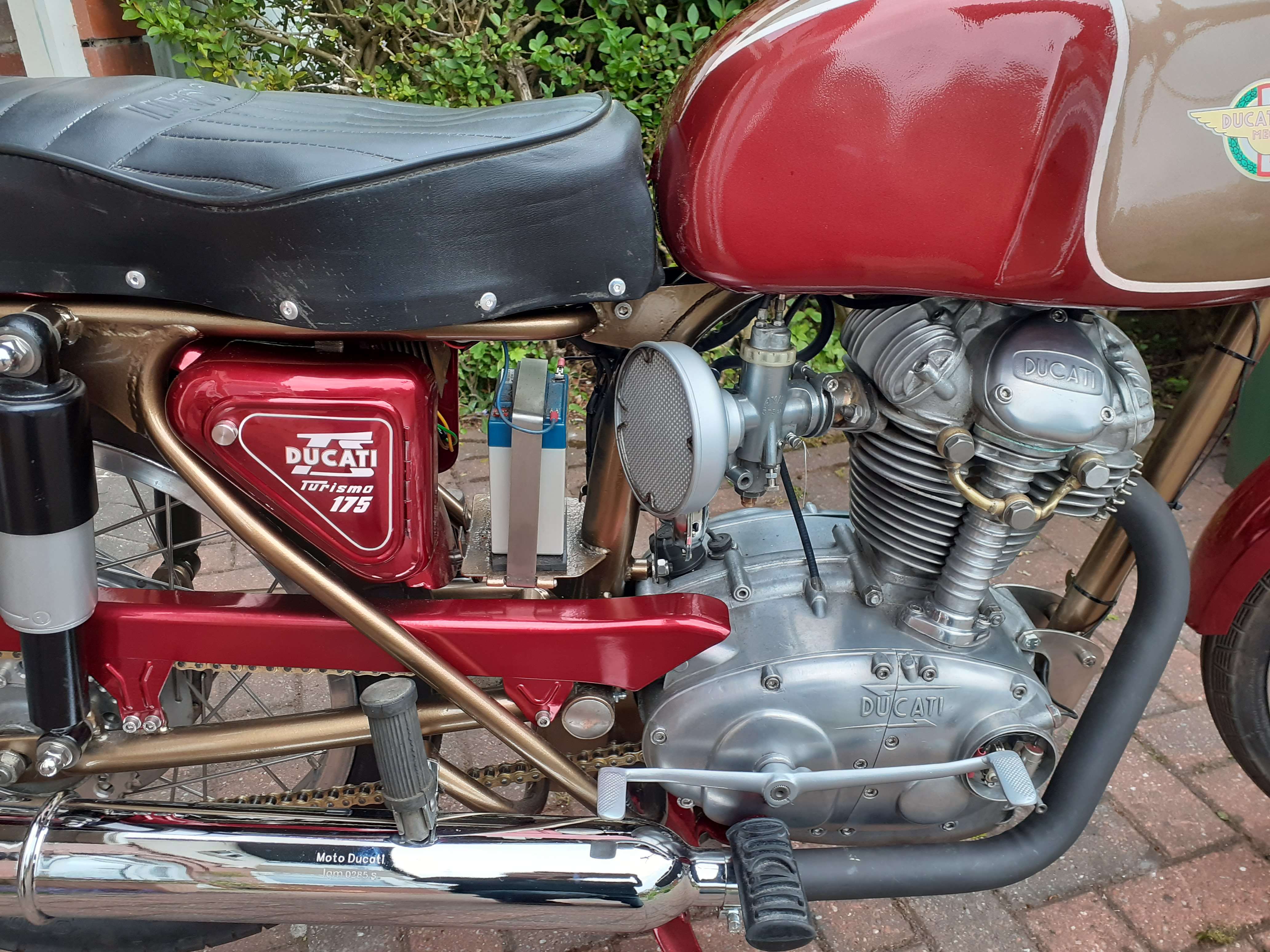 Ducati TS 175 3