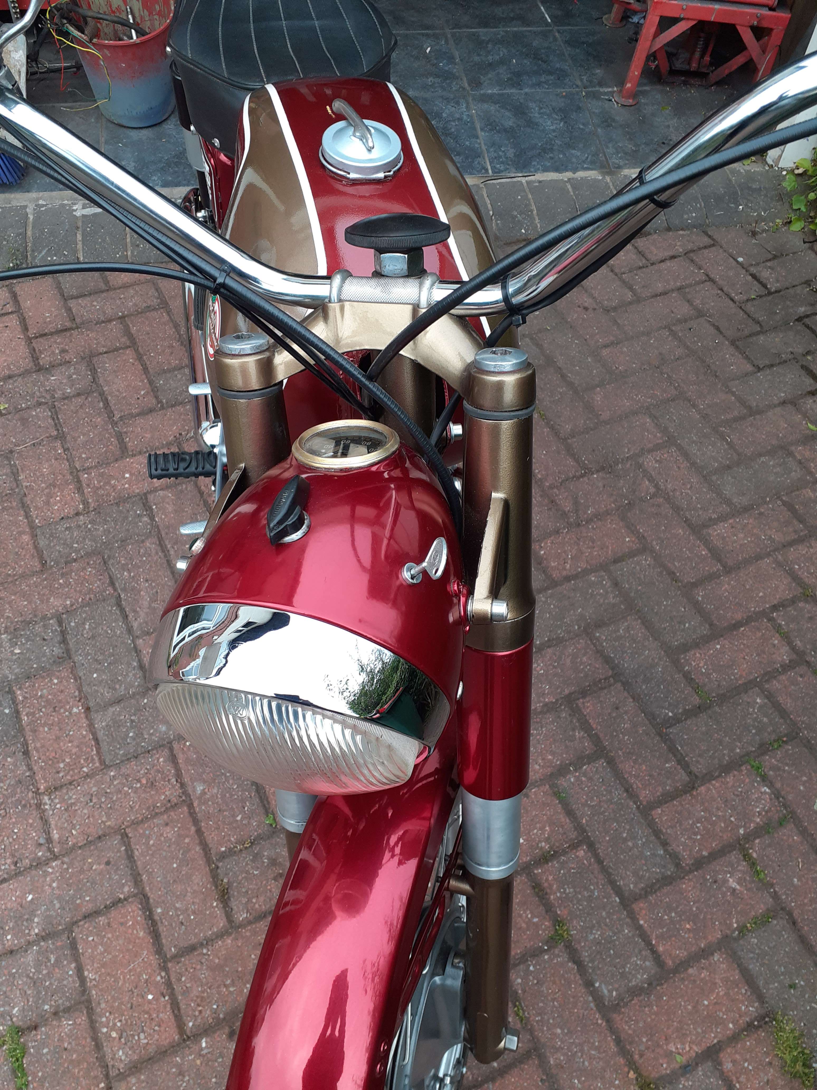 Ducati TS 175 4