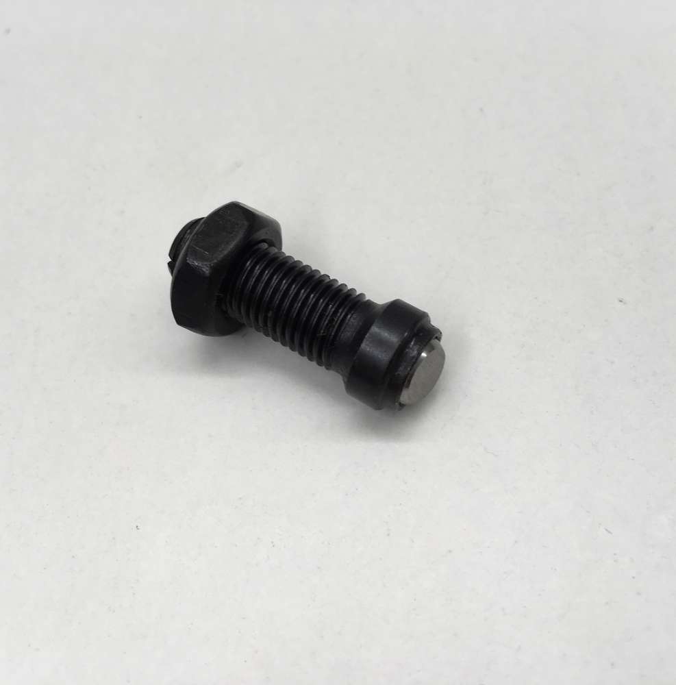 Adjustable rocker screw