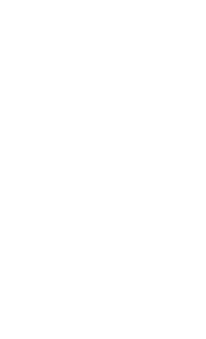 hero-flame-icon.webp