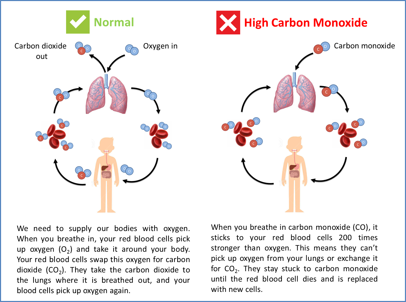 Carbon monoxide diagram