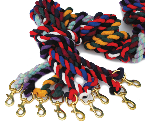 Twin Coloured Lead Ropes