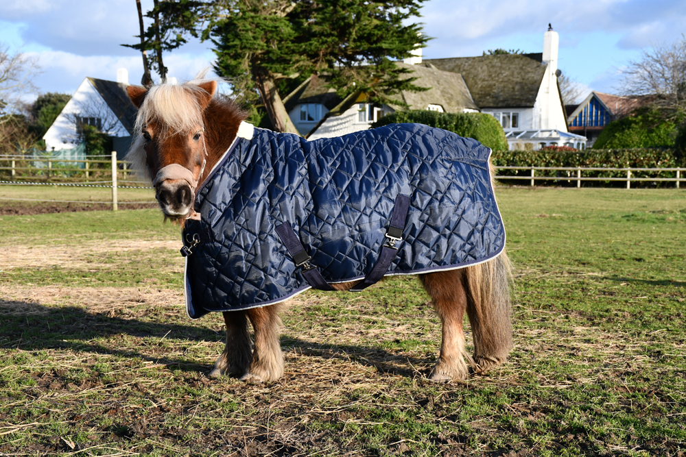 Small Pony Texas Diamond Stable Quilted Rug
