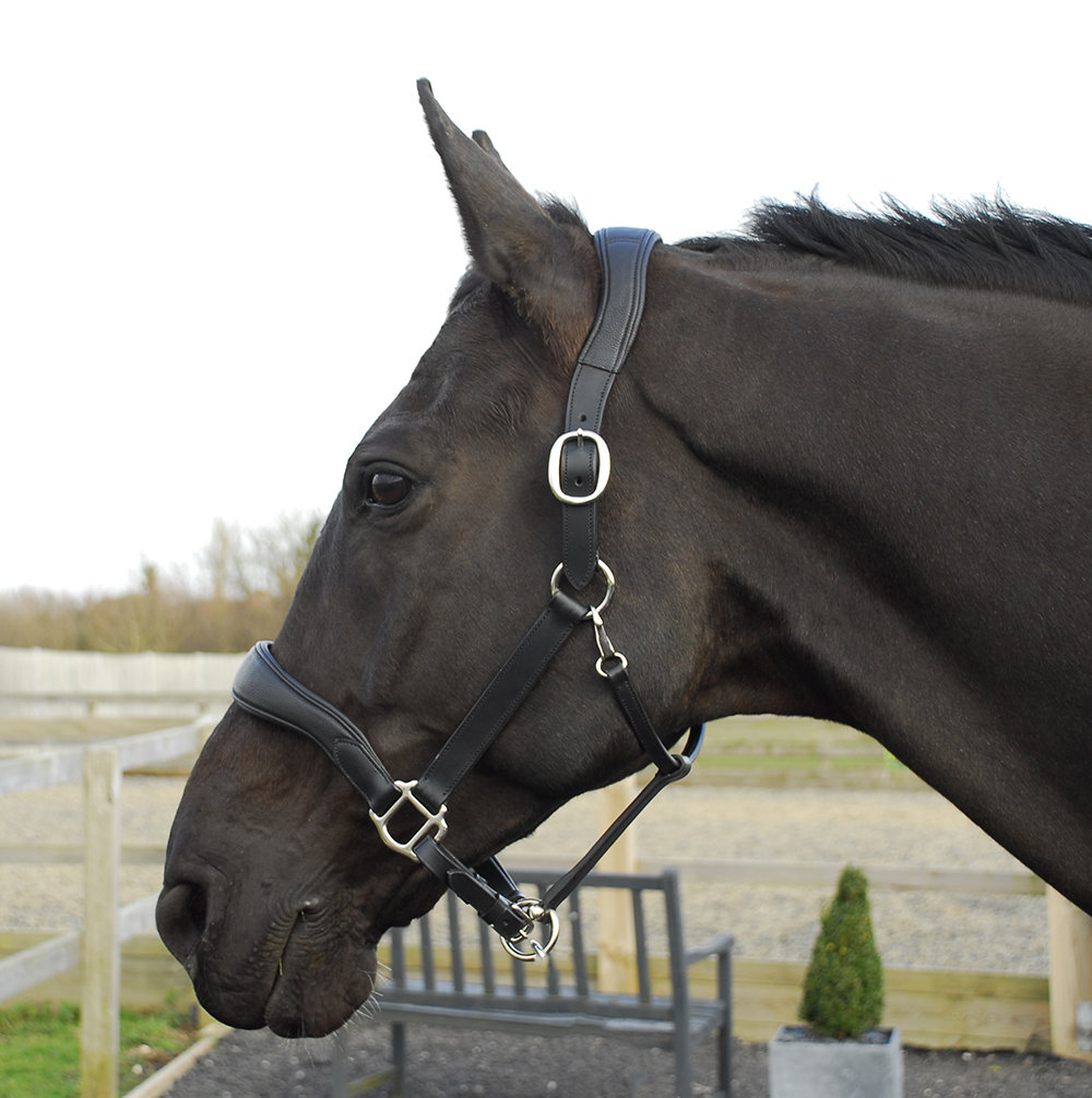 Pro-Anatomical Leather Headcollar