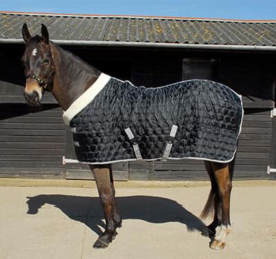Horse with Jacket