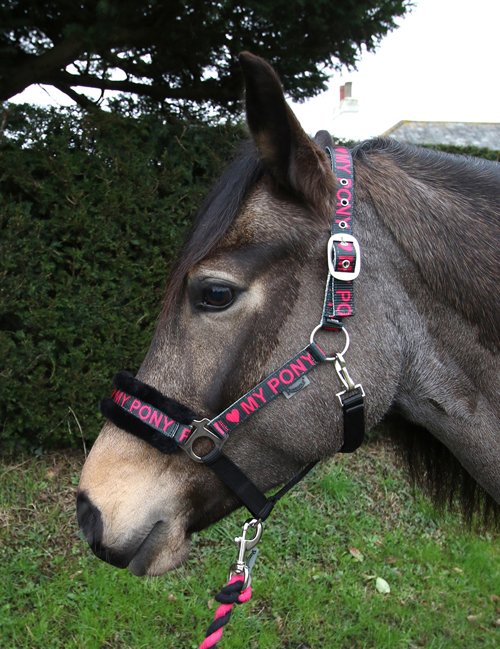 Love My Pony Headcollar & Rope Set