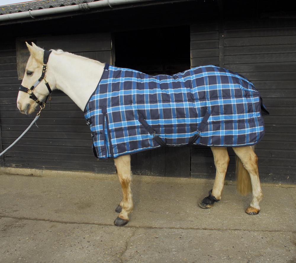 Andorra Stable Rug-300gsm Fill
