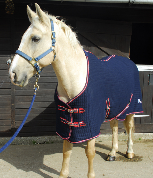 Celltex Multi Purpose Rug