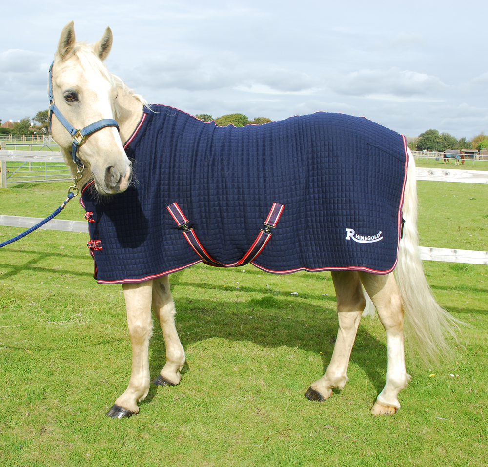 Celltex Multi Purpose Rug