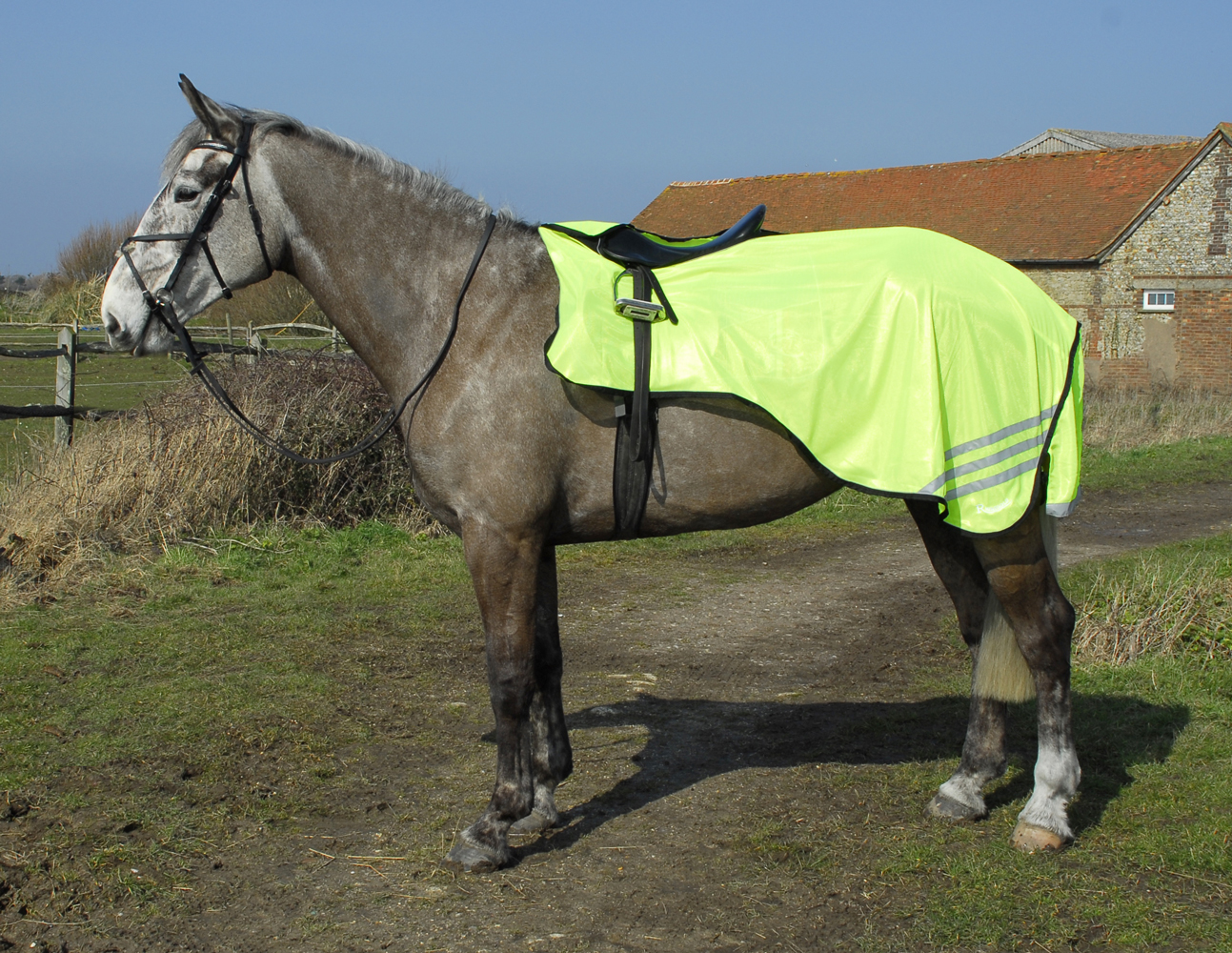 3/4 Length Mesh Cutaway Design Ride-On Rug/Sheet