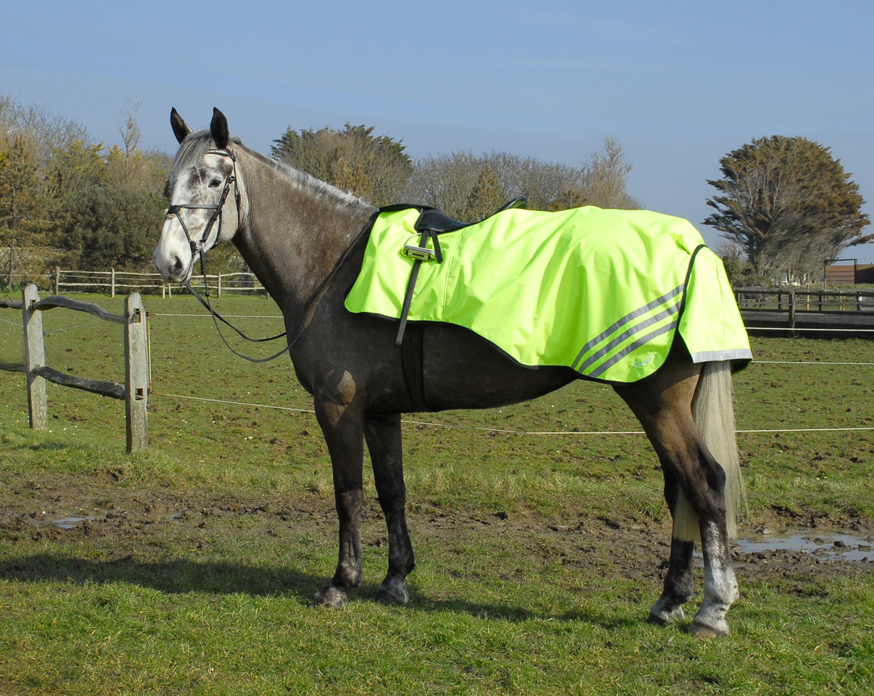 3/4 Length Waterproof Ride On Rug/Sheet