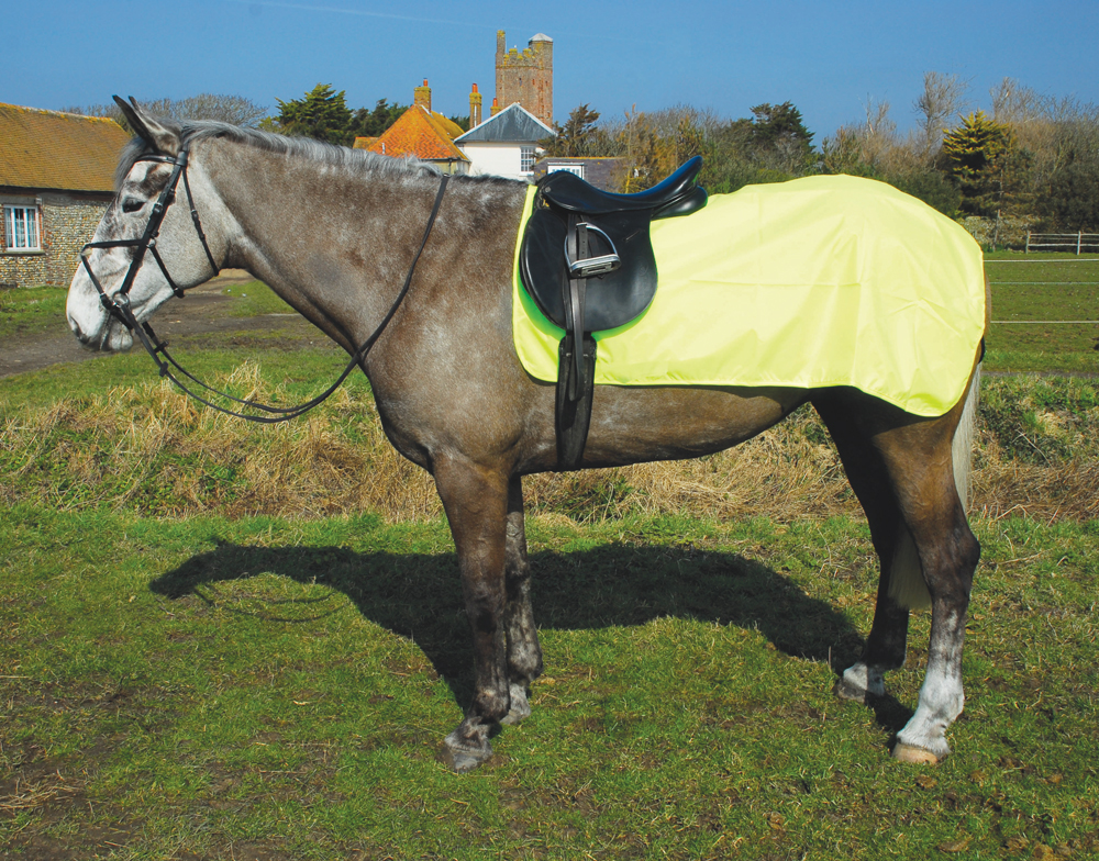 3/4 Ride On Rug/Sheet