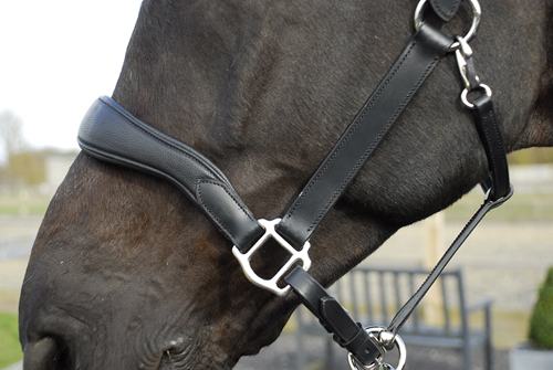 Pro-Anatomical Leather Headcollar