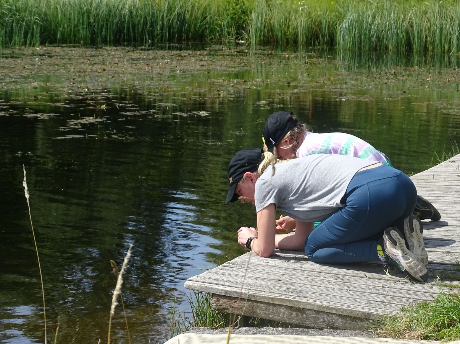 Nature Trails for families to enjoy