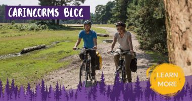 Teambuilding in The New Forest